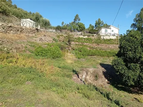 Terreno Rústico Venda