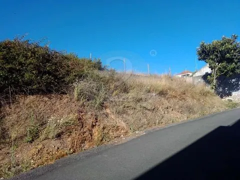 &#22478;&#24066;&#22320;&#24418; 385&#65292;89m2&#65292; &#22307;&#22320;&#20122;&#21733;-&#26460;&#21345;&#26862;&#65292; &#38463;&#36830;&#29305;&#33593;