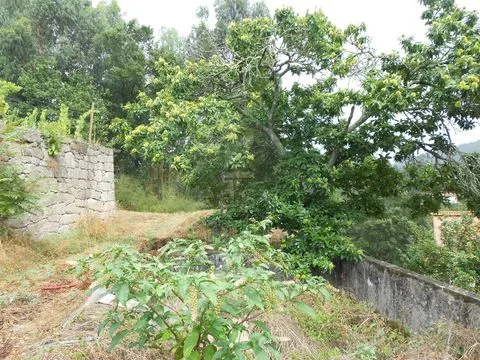 Real Estate building