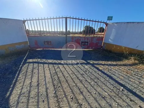 Propriedade Agrícola ideal para ovinos/caprinos em Selmes com Casa T1