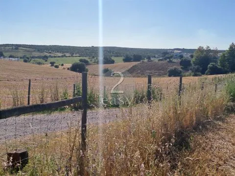 Propriedade Agrícola ideal para ovinos/caprinos em Selmes com Casa T1