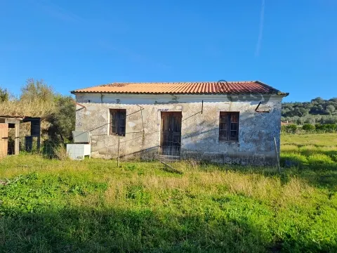 &#32500;&#36842;&#30422;&#25289; 6.62 &#20844;&#39031;&#30340;&#28151;&#21512;&#22303;&#22320;&#19978;&#25554;&#20837;&#29992;&#20110;&#37325;&#24314;&#30340;&#24223;&#22687;&#25151;&#23627;