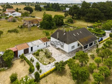 独立式的房子 4个房间