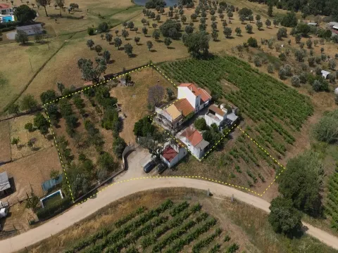Сельскохозяйственная земля с оливковой рощей площадью 4500м2, Монтемор-о-Ново
