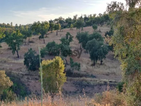 &#20301;&#20110;&#38463;&#23572;&#20811;&#29926;&#30340;&#20065;&#26449;&#22303;&#22320;&#65292;&#21344;&#22320; 6.82 &#20844;&#39031;&#65292;&#26377;&#24223;&#22687;&#21644;&#27700;&#20117;