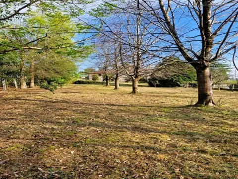 Terreno 1.500m² Vilar de Mouros | Construção Moradia | Caminha