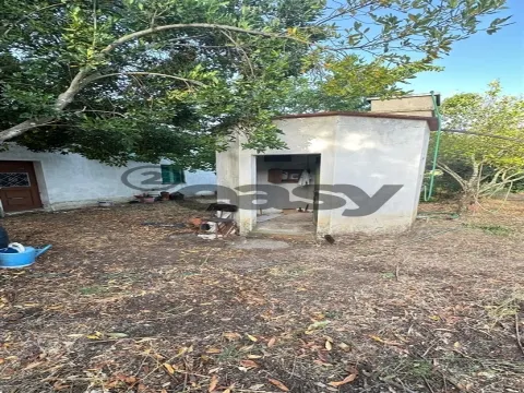Terreno Rústico com 1,1 Hectares na Vidigueira