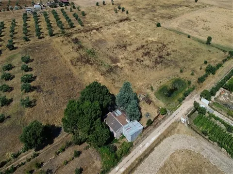 Propriedade rústica com 2,25 hectares integrada no regadio do Alqueva, Alvalade