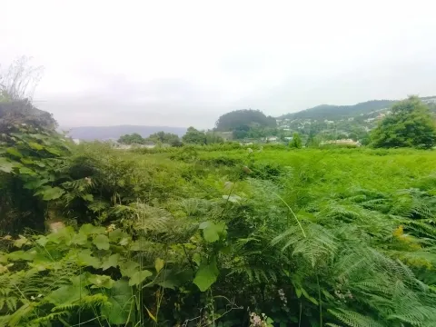 Terreno de Luxo em Caminha (5.000 m²) | Investimento Premium