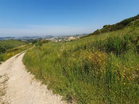 Terreno com 19.400 m²