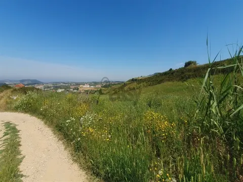 Terreno com 19.400 m²