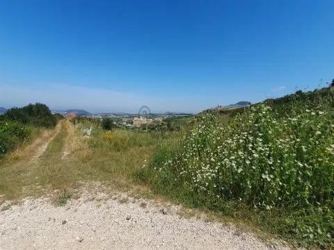 Terreno com 19.400 m²