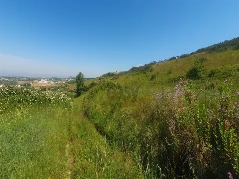 Terreno com 19.400 m²