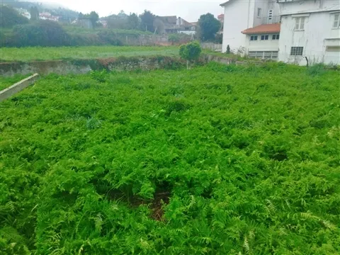 Terreno Plano de 500m2 com Vista Rio em Lanhelas | Caminha