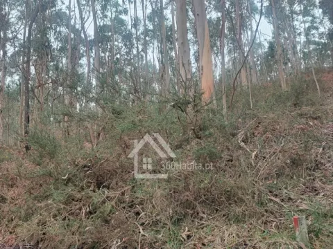 Terreno Rústico em Sendim , Felgueiras