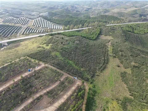 Terrain rural