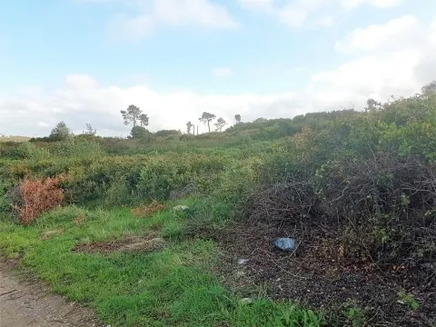 Landgrundstück