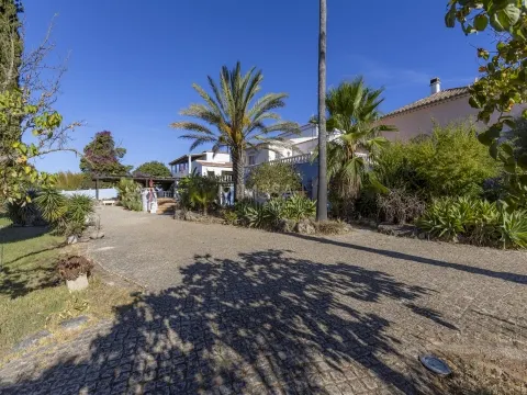 Quinta T14 de exelênçia com Piscina em 3,8 ha de Área em Odiáxere