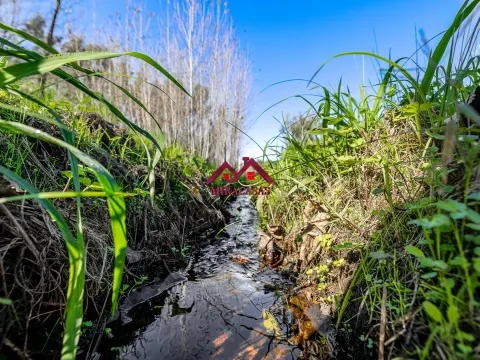 Moradia T3 Gandaresa Tradicional em Mira, Coimbra - 89.000€ - Oportunidade de Recuperação