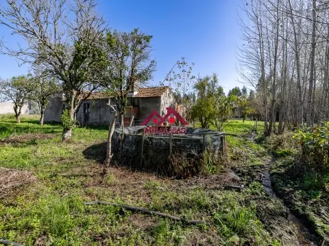 Moradia T3 Gandaresa Tradicional em Mira, Coimbra - 89.000€ - Oportunidade de Recuperação