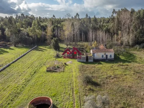 Moradia T3 Gandaresa Tradicional em Mira, Coimbra - 89.000€ - Oportunidade de Recuperação