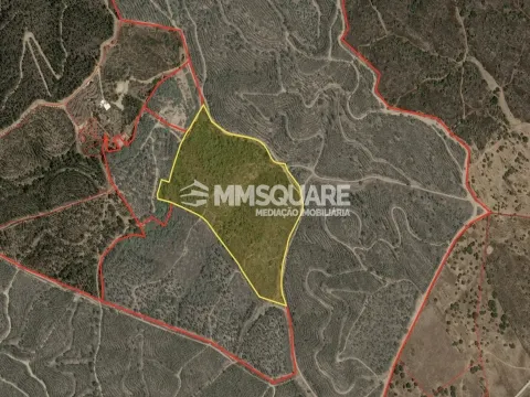 Terreno Rústico