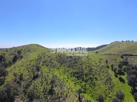img_31