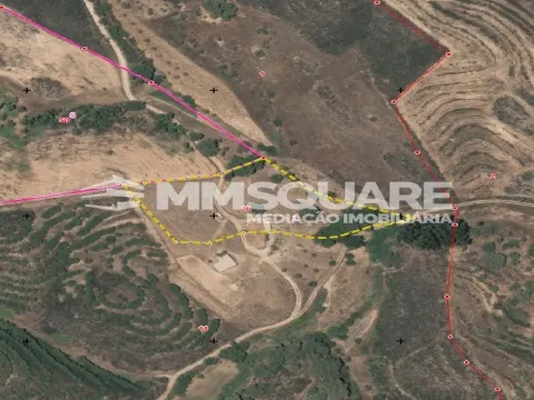 gemischtes Grundstück