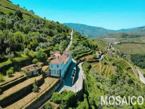 Domaine >=10 Chambre(s)