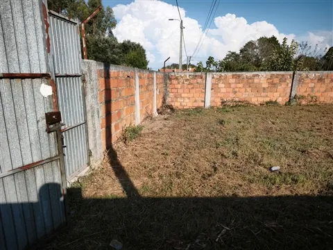 img_5