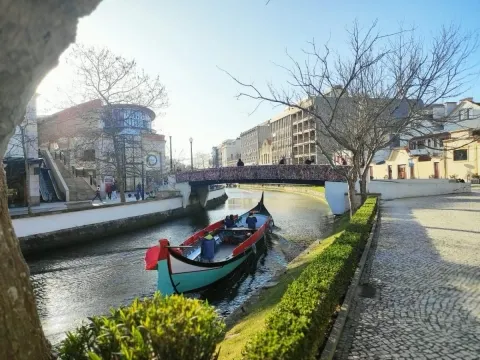 Zona commerciale - Aveiro