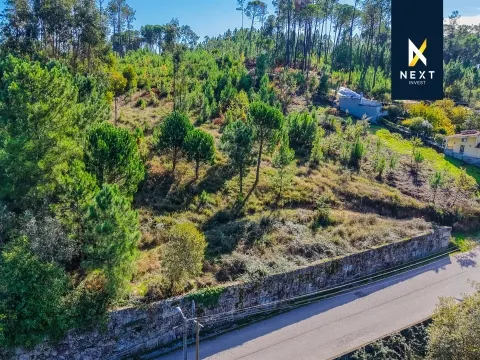 Terreno com vistas, a apenas 15 minutos de Viseu, e com todas as infraestruturas à porta!