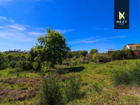 Excelente oportunidade de investimento em Santarinho, na freguesia de Orgens, em Viseu.