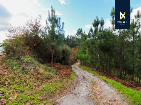 Terreno Urbano para venda na Sernada, Viseu