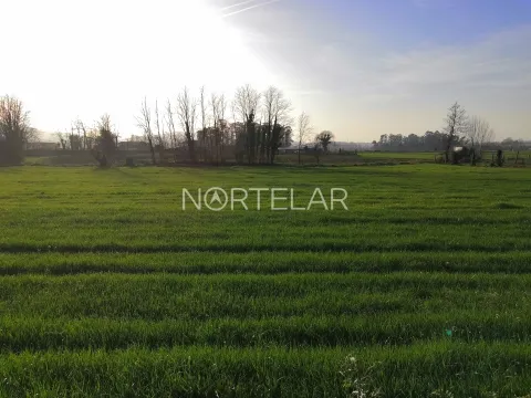 Terreno rústico com 6000m2 em Santiago de Bougado, Trofa