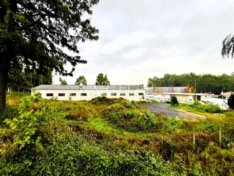 Terreno Industrial - São Mamede Coronado, Trofa