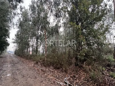 Terreno Rústico com 4.200 m² – Covelas, Trofa