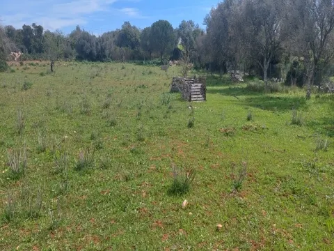 Terreno em Albufeira com 21.790 m2