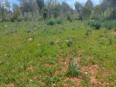 Terreno em Albufeira com 21.790 m2