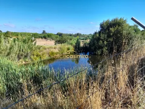 Quinta com moradia T3 