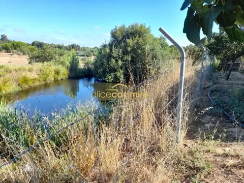 Quinta com moradia T3 