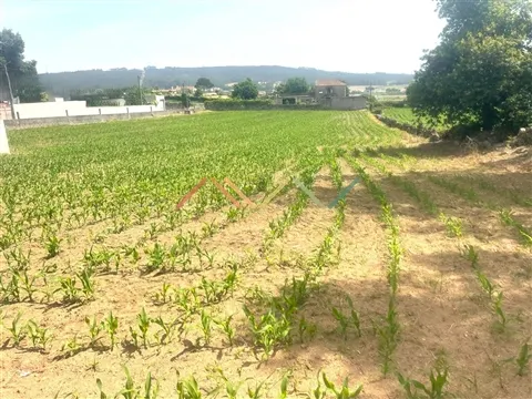 Terreno Para Construção