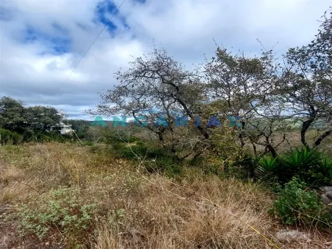 ANG1223 - Land for Sale in Alqueidão da Serra, Porto de Mós