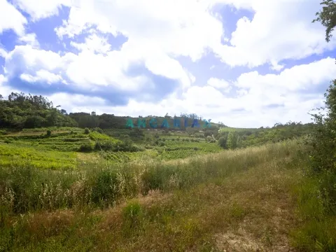img_25