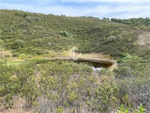 Homefall with enormous potential.