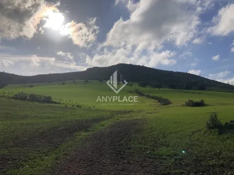 &#22303;&#22320;&#28508;&#21147;&#24040;&#22823;&#65292;&#38754;&#31215;&#20026;58&#20844;&#39031;&#12290;