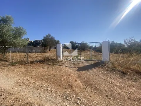 Excellent farm with villa to renovate located in a quiet and valued area.