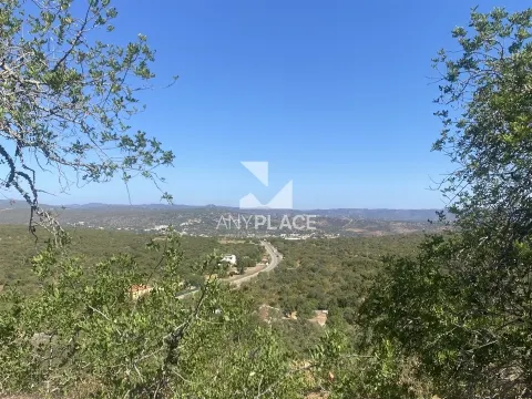 Farm to recover located in a highly valued area with excellent views.