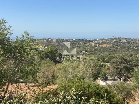 Farm to recover located in a highly valued area with excellent views.