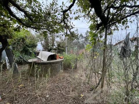 Maison isolée 3 Chambre(s)